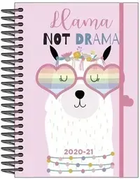 Imagen AGENDA ESCOLAR A6 D/P 2020/21