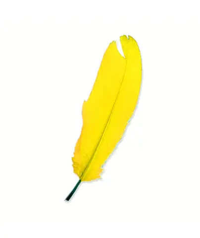 Imagen PLUMAS GRANDES AMARILLAS