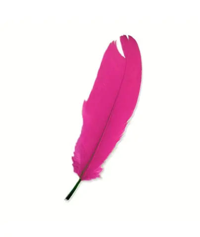 Imagen PLUMAS GRANDES ROSA 