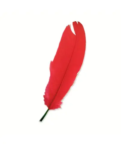 Imagen PLUMAS GRANDES ROJAS 