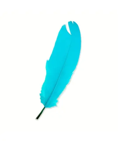Imagen PLUMAS GRANDES AZUL 
