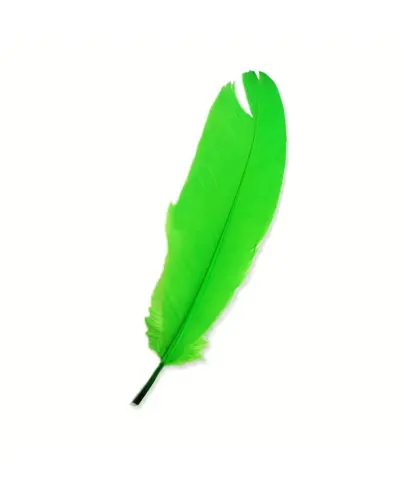 Imagen PLUMAS GRANDES VERDE 