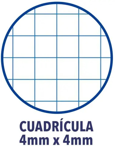 Imagen CUADERNO 4 R. HORIZONTAL 80 H. 60 GRS. ENRI 2