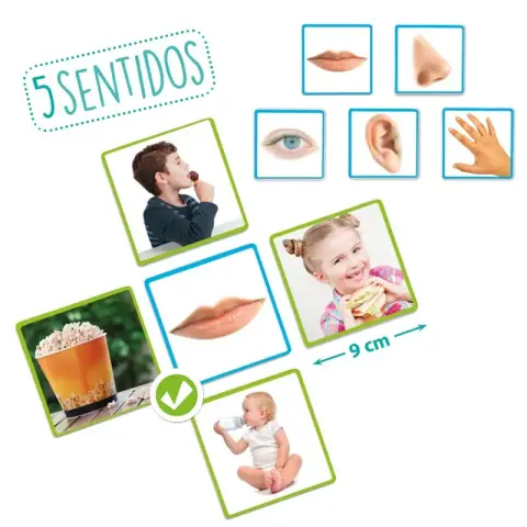 Imagen LOS 5 SENTIDOS