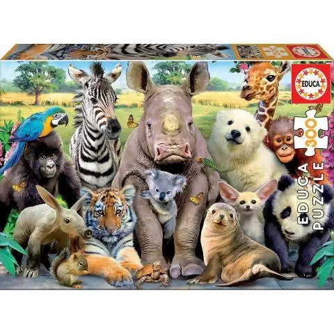 Imagen PUZZLE 300 PIEZAS FOTO DE CLASE