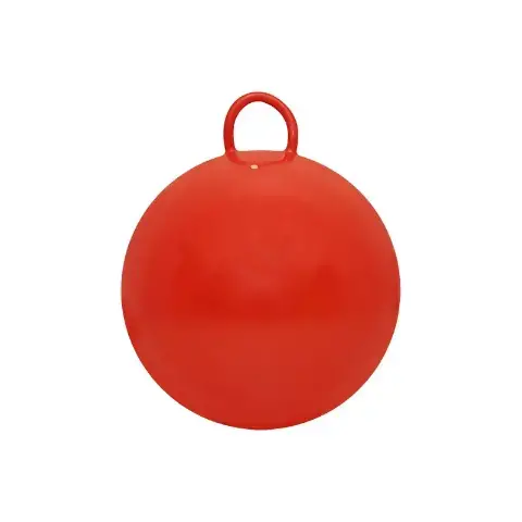 Imagen PELOTA CANGURO
