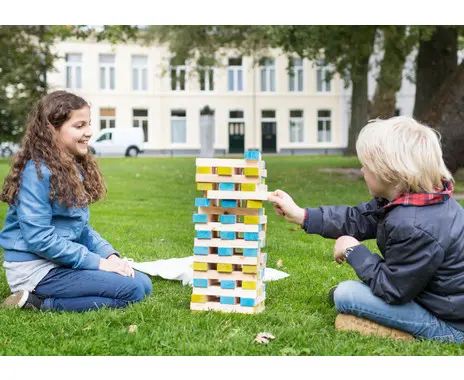 Imagen TORRE DE EQUILIBRIO XXL
